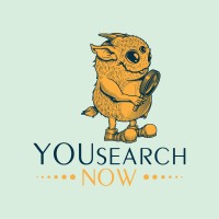 YOUSearchNow.com logo - Similar company to Druze Analytics