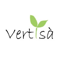 Vertisà logo - Similar company to Vertisa Corporation