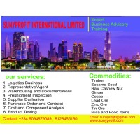 SunyProfit International Limited logo - Similar company to Rubyoverseas