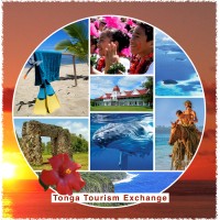 Tonga Tourism Exchange logo - Similar company to Tonga Tourism Authority