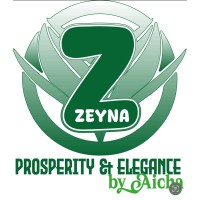 ZPE(Zeyna Prosperity and Elegance) logo - Similar company to Ingetechnologie