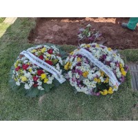 Funerária Benttus logo - Similar company to Cemitério Santo Amaro