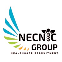 Necnic Group, LLC logo - Similar company to Get Your Solutions