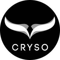 Cryso logo - Similar company to Platform 3 Technologies Pvt Ltd