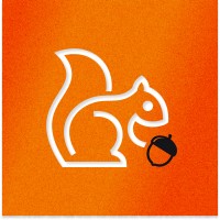 WebsiteSquirrel logo - Similar company to Xflow Studios