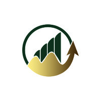 Fortune Consulting Group LLC logo - Similar company to Silverline Capital Advisors