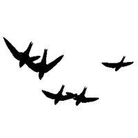 SWIFT COMMISSIONING MANAGEMENT LIMITED logo - Similar company to Whitehall Electrical Ltd