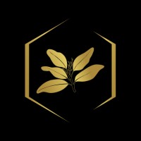 BFF MADAGASCAR logo - Similar company to Heaven Network