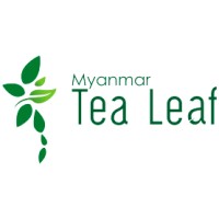Myanmar Tea Leaf logo - Similar company to Myanmar Online Creations Co., Ltd