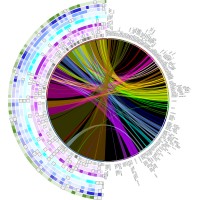Applied Bioinformatics MSc at Cranfield University logo - Similar company to Hub For Applied Bioinformatics