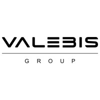 VALEBIS GROUP logo - Similar company to Smart-Work-Now