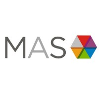 MaS Soluciones logo - Similar company to Oino Tech