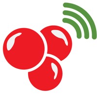 Agência de Marketing Digital | NetGuaraná logo - Similar company to Lws Brasil - Agência De Marketing Digital