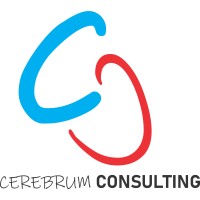 Cerebrum Technology Group SA logo - Similar company to Sahla Smart Solutions