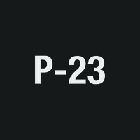P-23 logo - Similar company to Look Ai