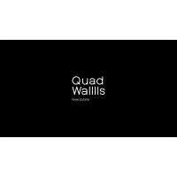 Quad Walls logo - Similar company to 3M For System Integration