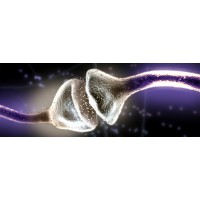 xorio logo - Similar company to Ayist Group