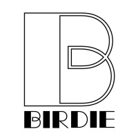 Birdie logo - Similar company to Challenge Transit Express