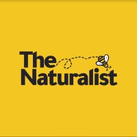The Naturalist logo - Similar company to Gen-Z Aotearoa