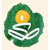 Amayah India logo - Similar company to Vertica_Legal
