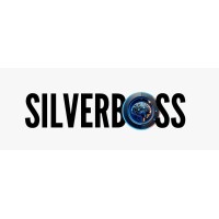 Silverboss Academy logo - Similar company to Game Changer