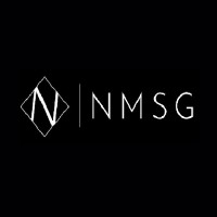 NMSG GROUP logo - Similar company to Diriteks Diriliş Tekstil A.Ş