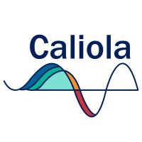 Caliola Engineering, Llc