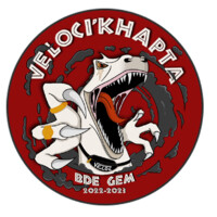 BDE GEM Veloci'khapta logo - Similar company to Partners & Lawyers Gate