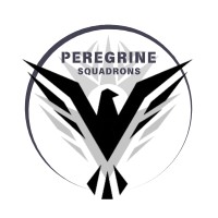 Team Peregrine Squadrons logo - Similar company to Team Foxtrot
