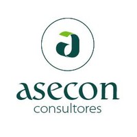 Asecon Consultores logo - Similar company to Königstein