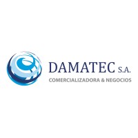 DAMATEC logo - Similar company to Control Point S.A.