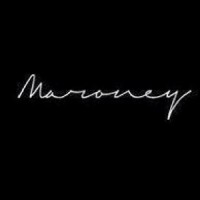 Maroney Investment logo - Similar company to Mits