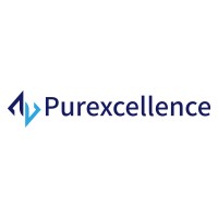 Purexcellence Research logo - Similar company to Spectrum Capital Management Pte Ltd
