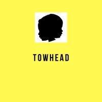 Towhead LLC logo - Similar company to Qwantiv Technologies