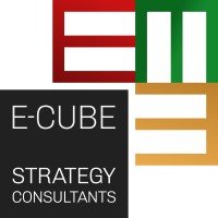 E-CUBE Strategy Consultants logo - Similar company to Blunomy