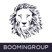 BoominGroup logo - Similar company to Booming Group