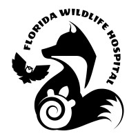 Florida Wildlife Hospital logo - Similar company to Integrative Animal Hospital Of Central Florida