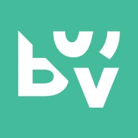 Big Screen Video logo - Similar company to Gameplan