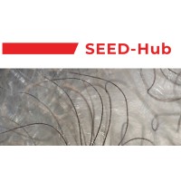 SEED-Hub logo - Similar company to The Seed Hub