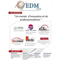 EDM GROUP CI logo - Similar company to Edm Group