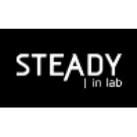 STEADY | in lab logo - Similar company to 45 Studios