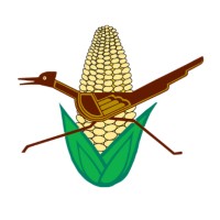 Roadrunner Food Bank of New Mexico logo - Similar company to Majestery