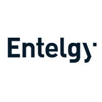 Entelgy logo - Similar company to Soluntia