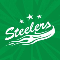 Bietigheim Steelers logo - Similar company to Trinity Security Company Llc