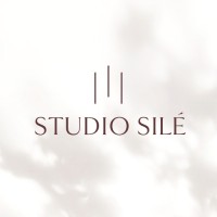 Studio Silé logo - Similar company to B Dutch Bv