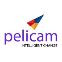 Pelicam. The Intelligent Change Partnership.