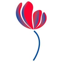 Heelkunde Friesland logo - Similar company to Nederlandse Vereniging Voor Heelkunde