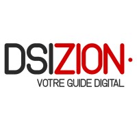 DSIZION logo - Similar company to Mayan Securite
