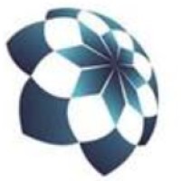 VSD Holdings logo - Similar company to Saltlux Technology