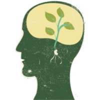 Seed Tutoring logo - Similar company to Quantum Girls